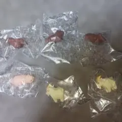 川崎誠二の木彫りの動物たち マスコットフィギュア　6個セット