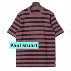 新品ポールスチュアートPaulStuartエンジストライプ半袖綿カノコTシャツのサムネイル