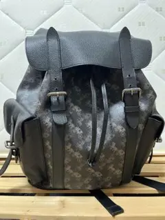 COACH ダークブラウン レザー バックパック