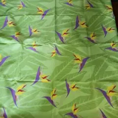 Item thumbnail for item 4bbb013c-76ea-42ce-a68c-5824a7354c83