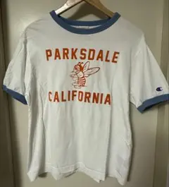 Champion チャンピオン リンガーT Tシャツ アメカジ 白 フロッキー