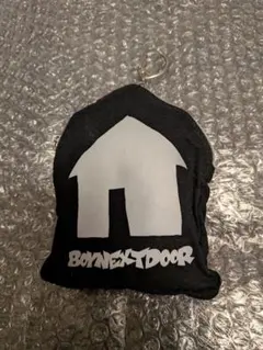 BOYNEXTDOOR ボネクド　GRAILZ トートバッグ BOYNEXTDOOR ボネクド GRAILZ トートバッグ アイドル BOYNEXTDOOR x