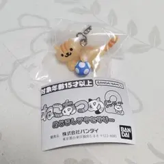 ねこあつめ2　めじるしアクセサリー