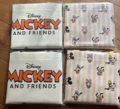 Item thumbnail for item 373d96fb-7f99-4aae-a2ae-f2fe11a6713d