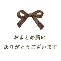 himi様 リクエスト 2点 まとめ商品