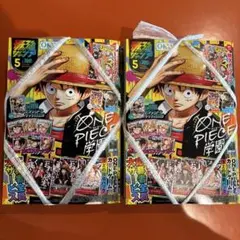 応募券 付録のみ　最強ジャンプ5月号 2冊
