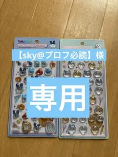 sky@プロフ必読様　専用