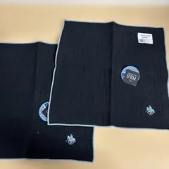 POLO ミニタオル2枚組