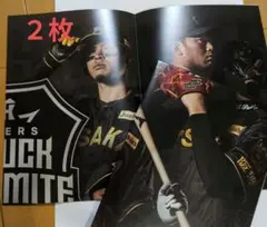 月刊タイガース　2025.８月号　特別付録　ポスター　２枚