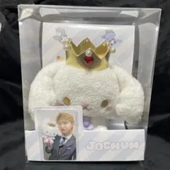 JOCHUM コロコロ クッション レイン 新品・未開封 - メルカリ