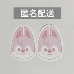 straykids スキズ ペンミ 落下物 ウルフチャン ピンク