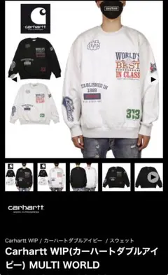 Carhartt WIP MULTI WORLD スウェット M