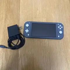Nintendo Switch Lite グレー 本体 充電器付き