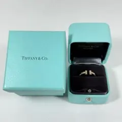 Tiffany& Co. ダイヤモンド ワイヤーリング