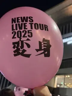 Item thumbnail for item 938a48a3-1f76-4cc2-a2fd-c6e660efeef5