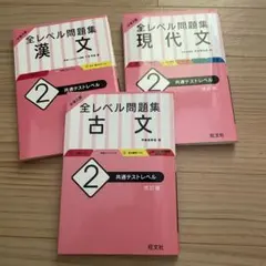 3冊セット　大学入試 全レベル問題集 漢文 2 共通テストレベル