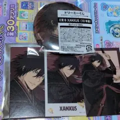 ドリーミー 쿠지 XANXUS 缶バッジ インスタント風フォトブロマイド セット