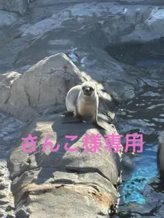 CROCODILE ケーブル編みニット Mサイズ ベージュ