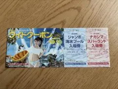 ナガシマスパーランド ワイドクーポン - メルカリ