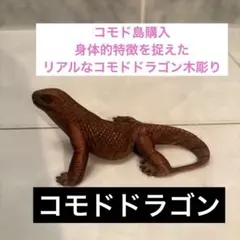 2026年最新】コモド 置物の人気アイテム - メルカリ