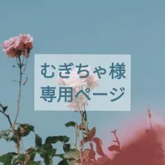 むぎちゃ様　専用ページ