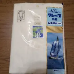 Item thumbnail for item 1173142a-8cc8-4b52-9120-e6a67611ae27