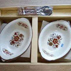 【未使用】　カレー皿＆スプーン5個組セットー昭和レトロのサムネイル