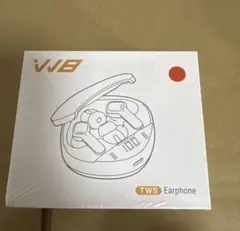 TWS ワイヤレスイヤホン 未開封 未確認品 2013