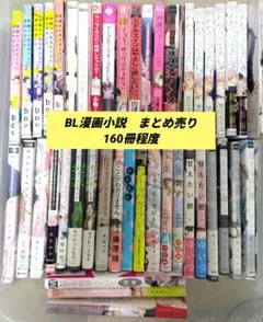 2025年最新】bl小説まとめ売りの人気アイテム - メルカリ