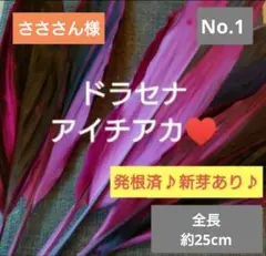 さささん様 リクエスト 2点 まとめ商品