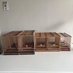 メジロ籠4個セット 飼育ケージ メジロ籠 4個 & 寝かせ箱 セット 美品 送料込み - メルカリ