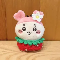 ちいかわ　古本屋　カニちゃん　おすわりぬいぐるみ　いちご　ぬい服　赤×緑