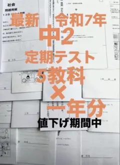 最新 令和7年 中2 定期テスト 5教科 ✖️一年分　値下げ期間中のサムネイル