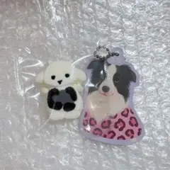 Item thumbnail for item 4295ff3c-532c-44d2-b03a-b4eca77cef5d