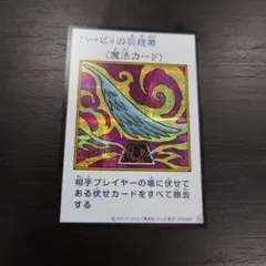 マンガスタイル　シークレット ハーピィの羽根帚 カラー