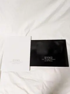 THEYELLOWMONKEY　SYN1 & SYN2 写真集