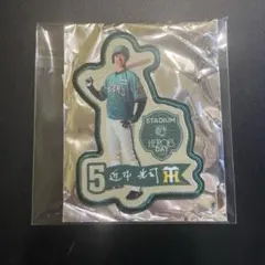 阪神 タイガースSTADIUM HEROES DAY ワッペン 近本光司