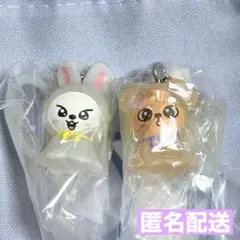 StrayKids SKZOO ガチャ めじるしアクセサリー 離婚危機