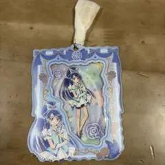 プリキュア カードホルダー プリキュア5GOGO キュアアクア