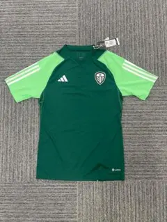 Item thumbnail for item 4f532368-3066-4b1c-878d-fda70d81b21c