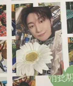 seventeen 消費期限　carat 盤　トレカ　ミンハオ　the8