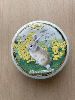 アフタヌーンティー　ウサギ　チョコ缶　ネザーランドドワーフ