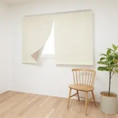 窓断熱・遮光スクリーン ショートタイプ 約幅94×長さ120cm 2枚組