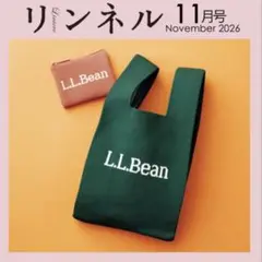 リンネル 11月号付録　L.L.Been 秋を先取るニット素材！バッグ&ポーチ