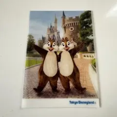 東京ディズニーランド　クリアフォト　チップとデール　写真台紙　フォトファン