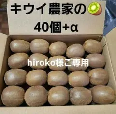 hiroko様ご専用　キウイ農家のキウイフルーツ　ヘイワード　40個+α