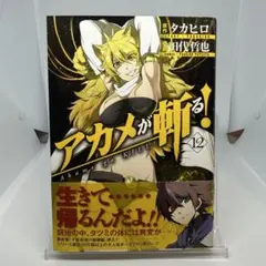 初版・帯あり】アカメが斬る! 10巻 - メルカリ