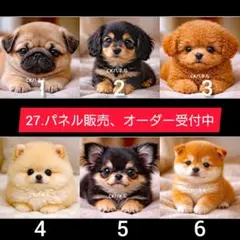27.パネル生地販売＆オーダー受付中〜ポメラニアン 柴犬