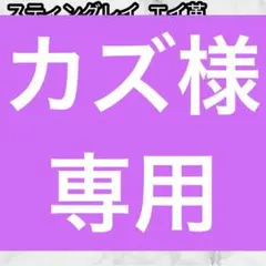 RAISE スティングレイ エイ革 ラウンドファスナー 財布 黒 スター