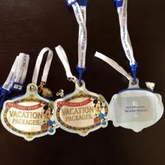 ディズニー バケーションパッケージ チケットホルダー パスケース 3つ